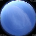 1592164702.jpg