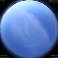 1592164822.jpg