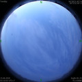 1592165438.jpg