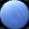 1592165558.jpg