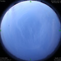 1592166443.jpg