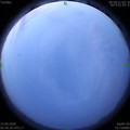 1592166638.jpg