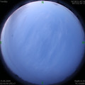 1592167434.jpg