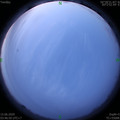 1592167629.jpg