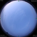 1592168169.jpg