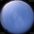 1592168484.jpg