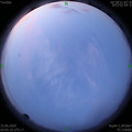 1592168724.jpg