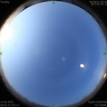 1592178164.jpg