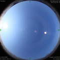 1592182096.jpg