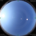 1592182486.jpg