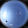 1592187228.jpg