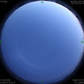 1592237230.jpg