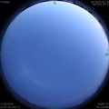 1592237290.jpg