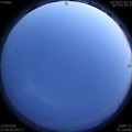 1592237350.jpg