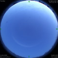 1592241222.jpg