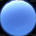 1592248921.jpg
