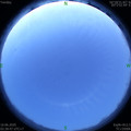 1592249356.jpg