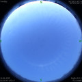 1592249416.jpg