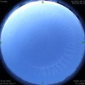 1592250617.jpg