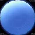 1592250932.jpg