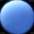 1592251892.jpg