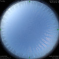 1592259036.jpg