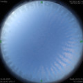1592259426.jpg