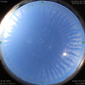 1592263358.jpg