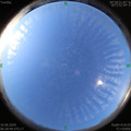 1592263748.jpg