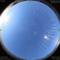 1592264138.jpg