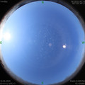 1592268446.jpg