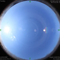 1592271177.jpg