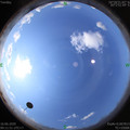 1592273533.jpg