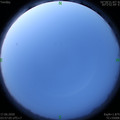 1592341036.jpg
