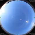 1592350656.jpg