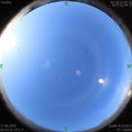 1592351046.jpg