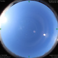 1592351842.jpg