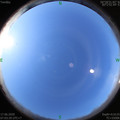 1592352232.jpg