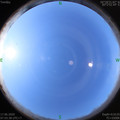 1592355353.jpg