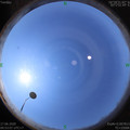 1592362407.jpg