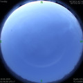 1592423187.jpg