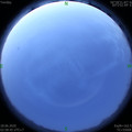 1592423952.jpg