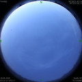 1592424943.jpg