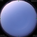 1592427164.jpg