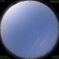 1592428875.jpg