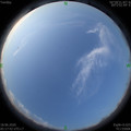 1592432281.jpg