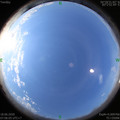 1592438780.jpg