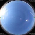 1592439170.jpg