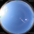 1592439545.jpg