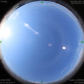 1592439920.jpg
